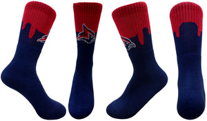 Doral Academy Socks