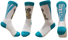 Load image into Gallery viewer, Cedar River Otters Socks
