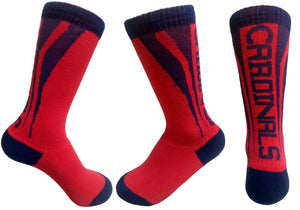 Doral Academy Socks