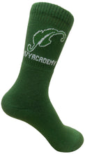 Load image into Gallery viewer, Ivy Academy Socks
