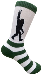 Ivy Academy Socks