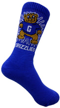 Load image into Gallery viewer, Gayhead Grizzlies Socks
