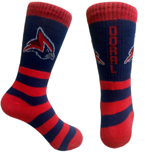 Doral Academy Socks